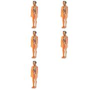 Adiythbm 3D Human Body Anatomy Model 5 PCS - Plastic DIY Skeleton Set Kit | Ideal for science clubs and classrooms with self-contained parts that teach anatomy at a time.