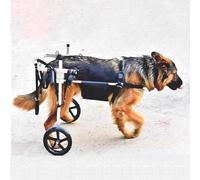 Adjustable 2-Wheel Dog Wheelchair for Medium to Large Dogs Pet Mobility Cart for Aging Disabled or Injured Pets Easy Assembly Doggy Support Walker