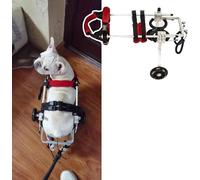Adjustable 2-Wheel Dog Wheelchair for Small Dogs & Cats - li Aid for Back Legs, Hip Support for Chihuahua, Shih Tzu, Labrador - Red XS(Wide) Pet Cart