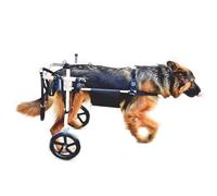 Adjustable 4-Wheel Dog Wheelchair for Small Pets - Ideal for Back Leg Disability Paralysis & Injury Recovery - Easy Assembly Size L - Comfortable & Durable Pet Cart