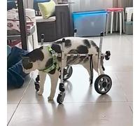 Adjustable 4-Wheel Pet Wheelchair for Dogs & Cats - Portable Mobility Aid for Back Leg Support Ideal for Rehabilitation & Enhanced Mobility - Durable & Lightweight
