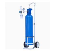 Adjustable Aluminum Alloy Cylinder Rack Dolly for Hospitals, Workshops & Labs - Rolling Gas Cylinder Storage with Caster Wheels(Diameter 4.9 in)