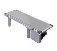 Adjustable Aluminum Alloy Flat Belt Conveyor Machine Efficient Packing Desktop Assembly Line Cactus Design 18 x 50 cm Ideal for Streamlined Workflow and Productivity.