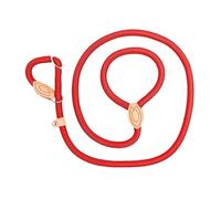 Adjustable Anti-Shock Dog Leash For Small Dogs Beige Blue Black Brown Red Light Green Orange Pink Extended Integrated Pet(Red14mm 1 8,Blue6mm 1 8m)