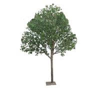 Adjustable Artificial Olive Tree - Realistic Silk Leaves & Fruits, Natural Wood Trunk, Gift for Home Office Decor(3mx2.5m)