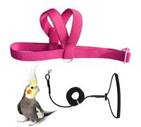 Adjustable Bird Harness and Leash Kit,Outdoor Flying Training Rope for Bird Parrots Weight 70-120 Grams VANFAVORI (Purple)