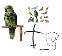 Adjustable Black Parrot Harness, Quick Attachment, Size from Cocorite to Amazon Elastic Tape 10 mm, Plastic or Metal Buckles Leash 10 mm 1 m (Black Metal Hooks)
