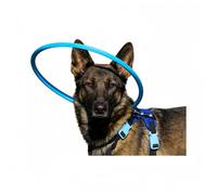 Adjustable Blind Dog Halo Harness with Anti-Collision Ring - Support & Safety Guide for Visually Impaired Small Dogs & Cats, Indoor/Outdoor Use (XS, Blue)