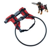 Adjustable Blind Dog Harness Crashproof Protective Collar with Padding for Visually Impaired Pet Outdoor Exploration Dog Mobility Assistance Device