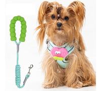 Adjustable Cartoon Dog Harness & Leash Set - Escape-Proof Vest Harness for Small Breeds, Comfortable No-Pull Design, Cute Patterns for Puppy Walking & Outdoor Adventures (Green)