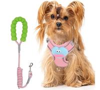 Adjustable Cartoon Dog Harness & Leash Set - Escape-Proof Vest Harness for Small Breeds, Comfortable No-Pull Design, Cute Patterns for Puppy Walking & Outdoor Adventures (Blue)