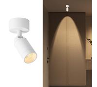 Adjustable Ceiling Spotlight 5W Spot Light Exposed Mounted, LED Flush Mount Ceiling Spot Lights Directional Spotlights Accent Lighting Artwork Display Lamps