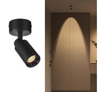 Adjustable Ceiling Spotlight 5W Spot Light Exposed Mounted, LED Flush Mount Ceiling Spot Lights Directional Spotlights Lighting Artwork Display Lamps