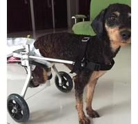 Adjustable Dog and Cat Wheelchair for Small to Medium Pets - Two-Wheel Mobility Cart for Limb Support and Rehabilitation Perfect for Disabled Animals