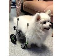 Adjustable Dog & Cat Wheelchair: Aluminum Support for All Legs Ideal for Small s Lightweight & Durable Size S Perfect for Mobility Assistance