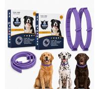 Adjustable Dog Collar Set, Purple Segmented Straps, 62 cm, 2-Pack | Integrated Fastener And Sliding Retaining Loop, For Dogs With A Suitable Neck Size, Routine Wear At Home Or Keeping A Spare