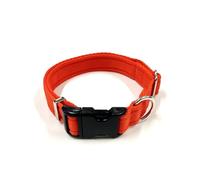 Adjustable Dog Collar Soft And Comfortable 25mm Cushion Webbing Training Walking All Dog Breeds (Orange, Large (17" - 27"))