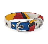 Adjustable Dog Collars Abstract Elements of Physical Activity Pet Collar for Small Medium Dogs Cats