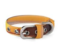Adjustable Dog Collars Beautiful Tropical Sunrise on The Beach Pet Collar for Small Medium Dogs Cats