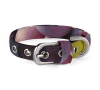 Adjustable Dog Collars Desert Grapes Pet Collar for Small Medium Dogs Cats
