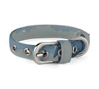 Adjustable Dog Collars Polar Bear in The Snow Pet Collar for Small Medium Dogs Cats