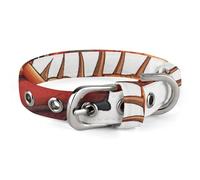 Adjustable Dog Collars Pterodactyl Dinosaur Pet Collar for Small Medium Dogs Cats
