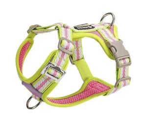 Adjustable dog harness designed specifically for American Staffordshire Terrier, this anti-pull vest-style dog harness features a metal D-ring and soft, breathable mesh fabric F L