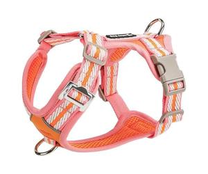 Adjustable dog harness designed specifically for Miniature Pinscher, this anti-pull vest-style dog harness features a metal D-ring and soft, breathable mesh fabric B M