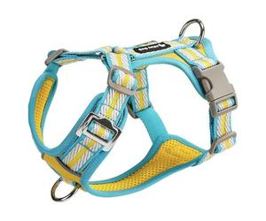 Adjustable dog harness designed specifically for Rat Terrier, this anti-pull vest-style dog harness features a metal D-ring and soft, breathable mesh fabric C XL