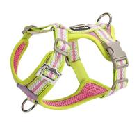 Adjustable dog harness designed specifically for Staffordshire Bull Terrier, this anti-pull vest-style dog harness features a metal D-ring and soft, breathable mesh fabric F XL