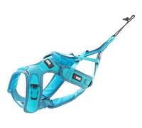 Adjustable dog harness I-DOG X-Back Phoenix ALM