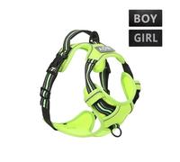 Adjustable Dog Harness Vest - Reflective Non-Suffocating Pet Vest for Small to Large Dogs(Light green,L)