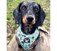 Adjustable dog harness/Zoo/car suitable/for no pulling XXS- Medium (X Small)