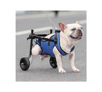 Adjustable Dog Hip Brace & Wheelchair Cart for Small Pets, Support for Paralyzed Hind Limbs, Recovery Mobility Aid (Medium Size)