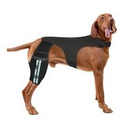 Adjustable Dog Knee Brace for ACL Tear and Arthritis Recovery - Dual Hind Leg Support with Harness Connection - Orthopedic Leg Wrap for Joint Stability and Pain Relief in Small to Large Dog (L)