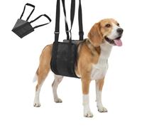 Adjustable Dog Lift Harness,Portable Dog Sling for Back Legs,Lift Support and Rehab Harness,Weak Hind Legs, Senior,Injured Dogs, Disabled Dogs, Etc.Black, S