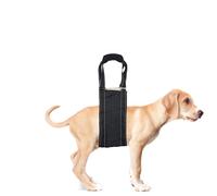Adjustable Dog Lift Support Harness with Handles - Soft Padded Sling for Rear Leg Weakness, Senior, Injured, or Disabled Dogs, Post-ACL Surgery Rehab Reflective, Comfortable, Machine Washable - Large