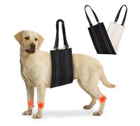 Adjustable Dog Lifting Harness for Large Dog Mobility Aids Support Sling for Weak Rear Legs Dog Lifting Harness for The Senior Injured Disabled and After ACL Surgery Rehabilitation Dog (Black, L)