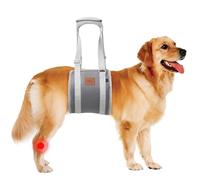 Adjustable Dog Lifting Harness, Support and Rehab Harness for Weak Rear Legs, Soft Sling Assist The Dog Who are Senior, Injured, Disabled and After ACL Surgery Rehabilitation (Grey,S)