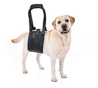 Adjustable Dog Lifting Harness with Anti-slip Buckle, Support and Rehab Harness for Weak Rear Legs, Soft Sling Assist The Dog Who are Senior, Injured, Disabled and After ACL Surgery Rehabilitation (M)