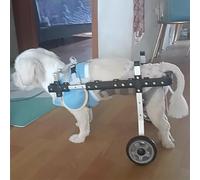 Adjustable Dog Rehabilitation Cart Pet Assistant Device, 2 Wheels Wheelchair Stroller for Doggy Cat Back Legs, Disabled Dog Mobility Assisted Car(XS)