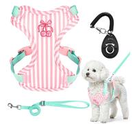 Adjustable Dog Vest Harness and Leash Set,Soft Mesh Puppy Harnesses,with Training Clicker, No-Pull Lightweight Step-in Breathable Pet Cat Vest Harness,Safety and Comfortable,for Small Dogs
