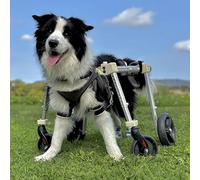 Adjustable Dog Wheelchair - 2/4 Wheels Mobility Aid for Small to Large Dogs XS to XXL Leg Brace for Back Legs Rehabilitation (Blue Size S)