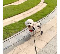 Adjustable Dog Wheelchair, 2-Wheel Pet Stroller for Rear Leg Rehab, Ideal for Small to Medium Disabled Dogs, Lightweight, Durable, Easy to Use