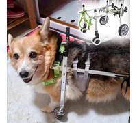 Adjustable Dog Wheelchair - Aluminum 4-Wheel Mobility Aid for Small Medium & Large Dogs/Cats - XS Wide Size for Enhanced Comfort & Support