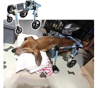 Adjustable Dog Wheelchair for Aging & Arthritis - Full Support Mobility Aid for Front & Back Legs, Ideal Rehab Solution for Senior Dogs(M)