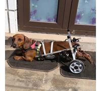 Adjustable Dog Wheelchair for Back Legs - Lightweight 2-Wheel Pet Mobility Aid Hip Support Brace for Active Dogs Enhance Mobility & Independence