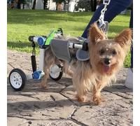 Adjustable Dog Wheelchair for Back Legs Mobility Support - Lightweight Pet Wheelchair for Disabled Dogs - Stable Hind Legs Walking Dog Cart