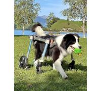 Adjustable Dog Wheelchair for Disabled Dogs - 4-Wheel Mobility Aid for Front & Back Legs Enhance Pet Independence & Walking Support Perfect for Injured or Aging Dogs