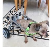 Adjustable Dog Wheelchair for Disabled Dogs - Medium/Large Pet Mobility Aid with 2 Wheels Rehab Cart for Improved Walking Size XS Enhanced Outdoor Adventures